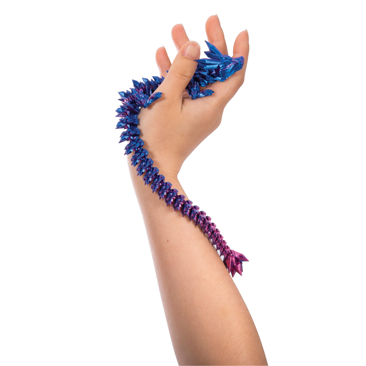 Discovery Zone Discovery Zone 3D Sensory Dragon (Assorted)