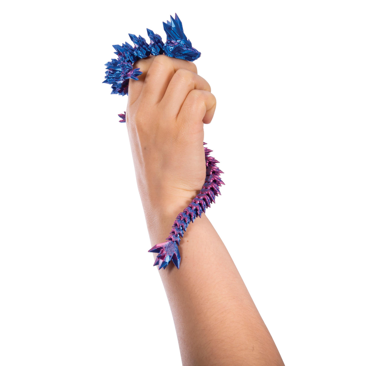 Discovery Zone Discovery Zone 3D Sensory Dragon (Assorted)