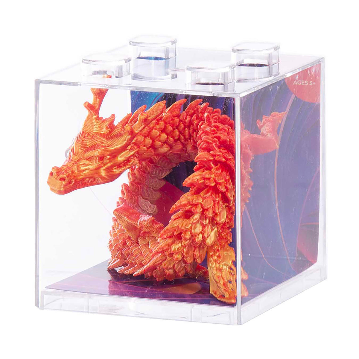 Discovery Zone Discovery Zone 3D Sensory Dragon (Assorted)
