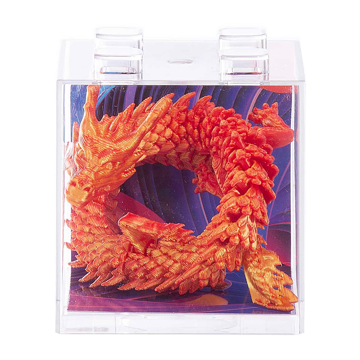 Discovery Zone Discovery Zone 3D Sensory Dragon (Assorted)