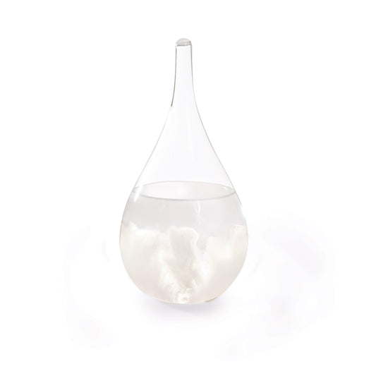 The Executive Collection Raindrop Weather Station ** FINAL SALE **