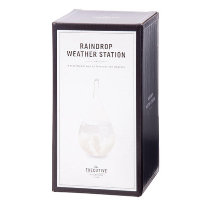 The Executive Collection Raindrop Weather Station ** FINAL SALE **