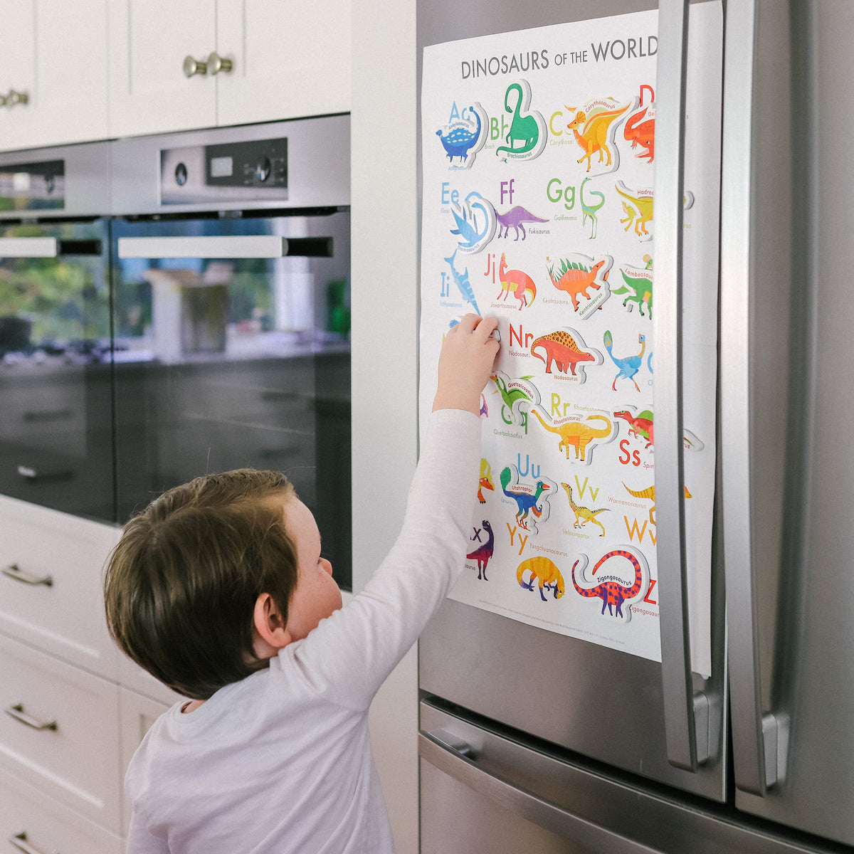 Curious Columbus Magnetic Dinosaurs & Letters