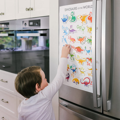 Curious Columbus Magnetic Dinosaurs & Letters
