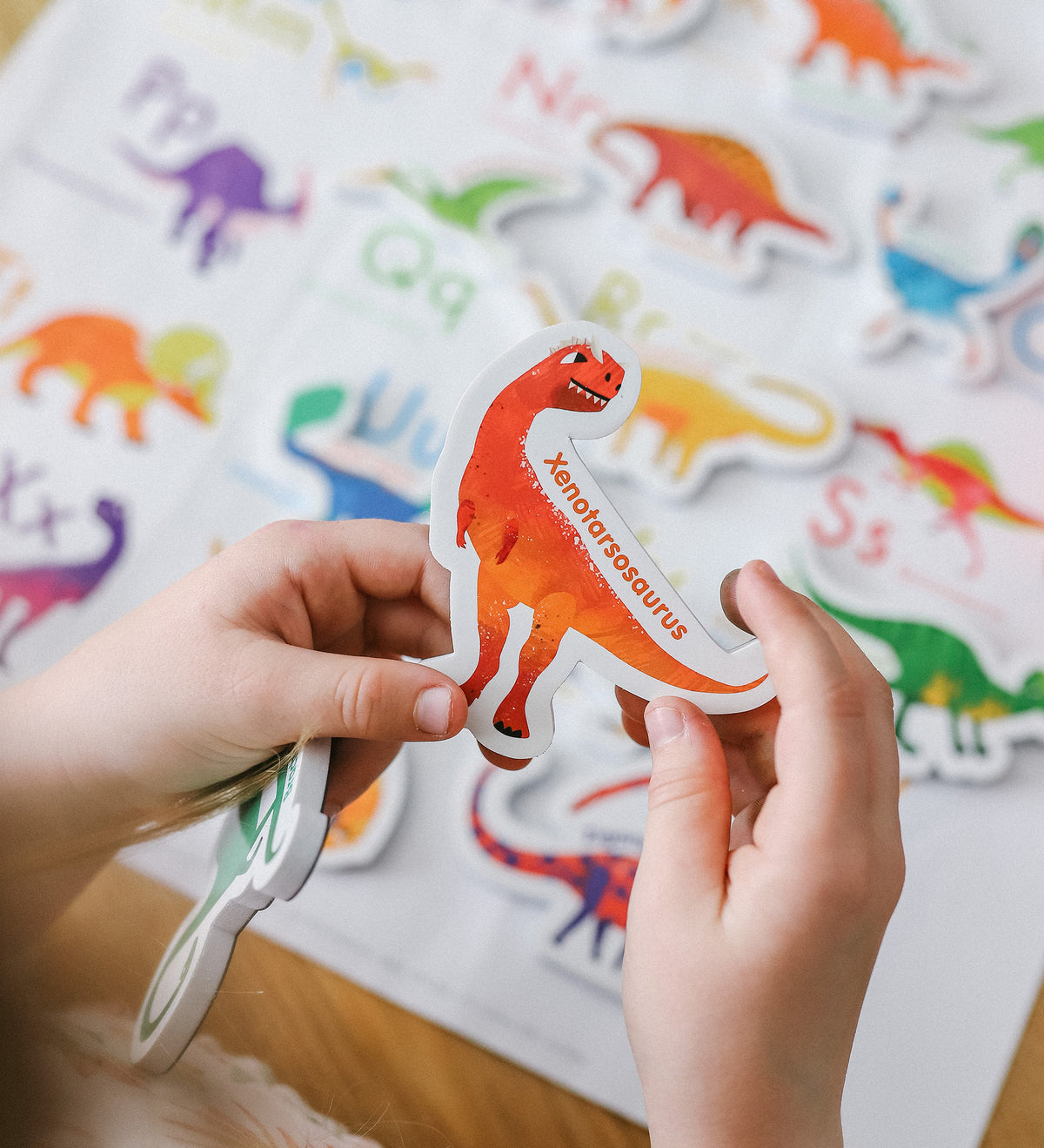 Curious Columbus Magnetic Dinosaurs & Letters