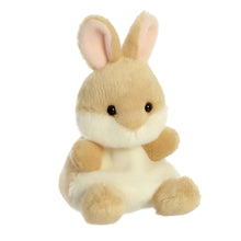 Load image into Gallery viewer, Palm Pals Ella Bunny
