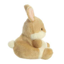 Load image into Gallery viewer, Palm Pals Ella Bunny

