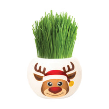 Load image into Gallery viewer, Christmas Grass Hair Kits (Assorted)
