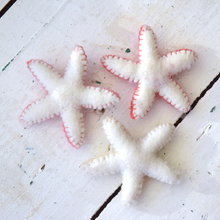 Load image into Gallery viewer, Tara Treasures Felt Starfish Set
