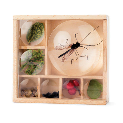 Kikkerland Great Outdoors My Little Museum (Bug Box)