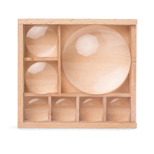 Load image into Gallery viewer, Kikkerland Great Outdoors My Little Museum (Bug Box)
