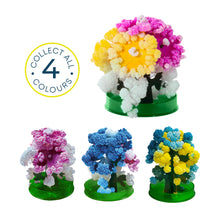 Load image into Gallery viewer, Colorful coral-like structures on green bases with a 'Collect All 4 Colours' badge.
