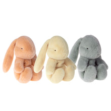 Load image into Gallery viewer, Maileg 27cm Bunny Plush in Egg  (assorted)
