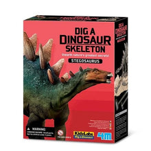 Load image into Gallery viewer, 4M Dig a Dinosaur Stegosaurus Kit
