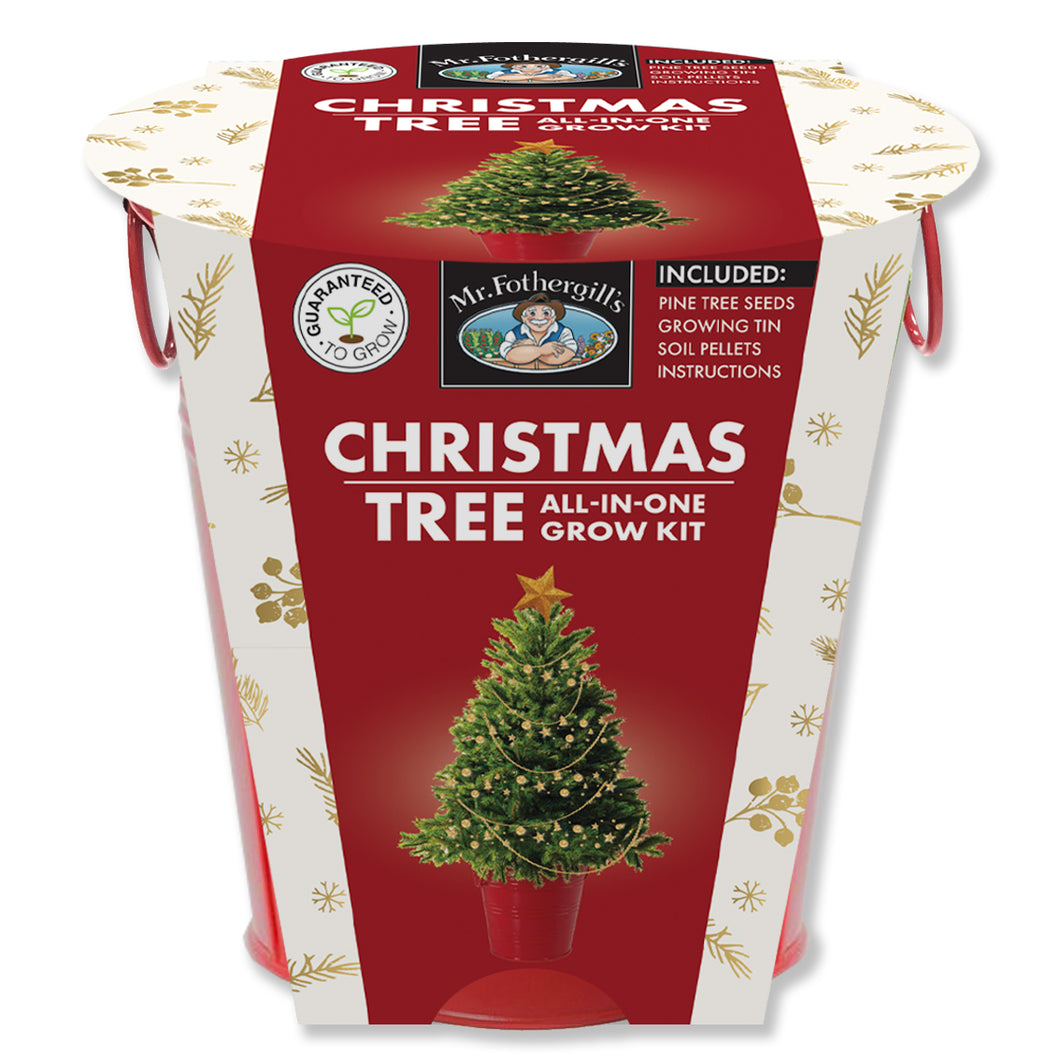 Christmas Tree Grow Kit (Pine)