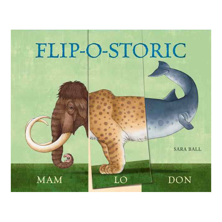 Flip-o-storic  Book