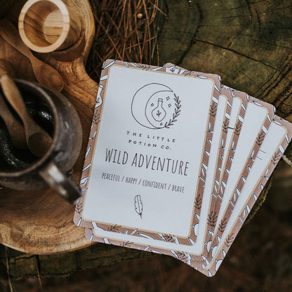 The Little Potion Co Wild Adventure Mindful Kit
