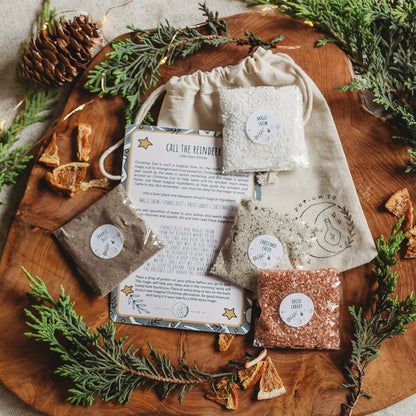 The Little Potion Co: Christmas Wishes Mini