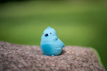 Load image into Gallery viewer, Tikiri My First Garden Friends - Blue Bird
