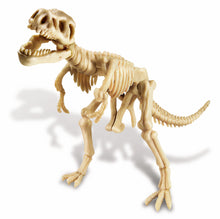 Load image into Gallery viewer, 4M Dig a Dinosaur T-Rex Kit

