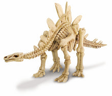 Load image into Gallery viewer, 4M Dig a Dinosaur Stegosaurus Kit
