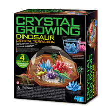 Load image into Gallery viewer, 4M Crystal Growing Dinosaur Terrarium
