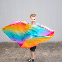 Load image into Gallery viewer, Play Silkies Rainbow Jumbo Silk
