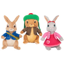 Load image into Gallery viewer, Peter Rabbit 22cm Plush (Assorted)
