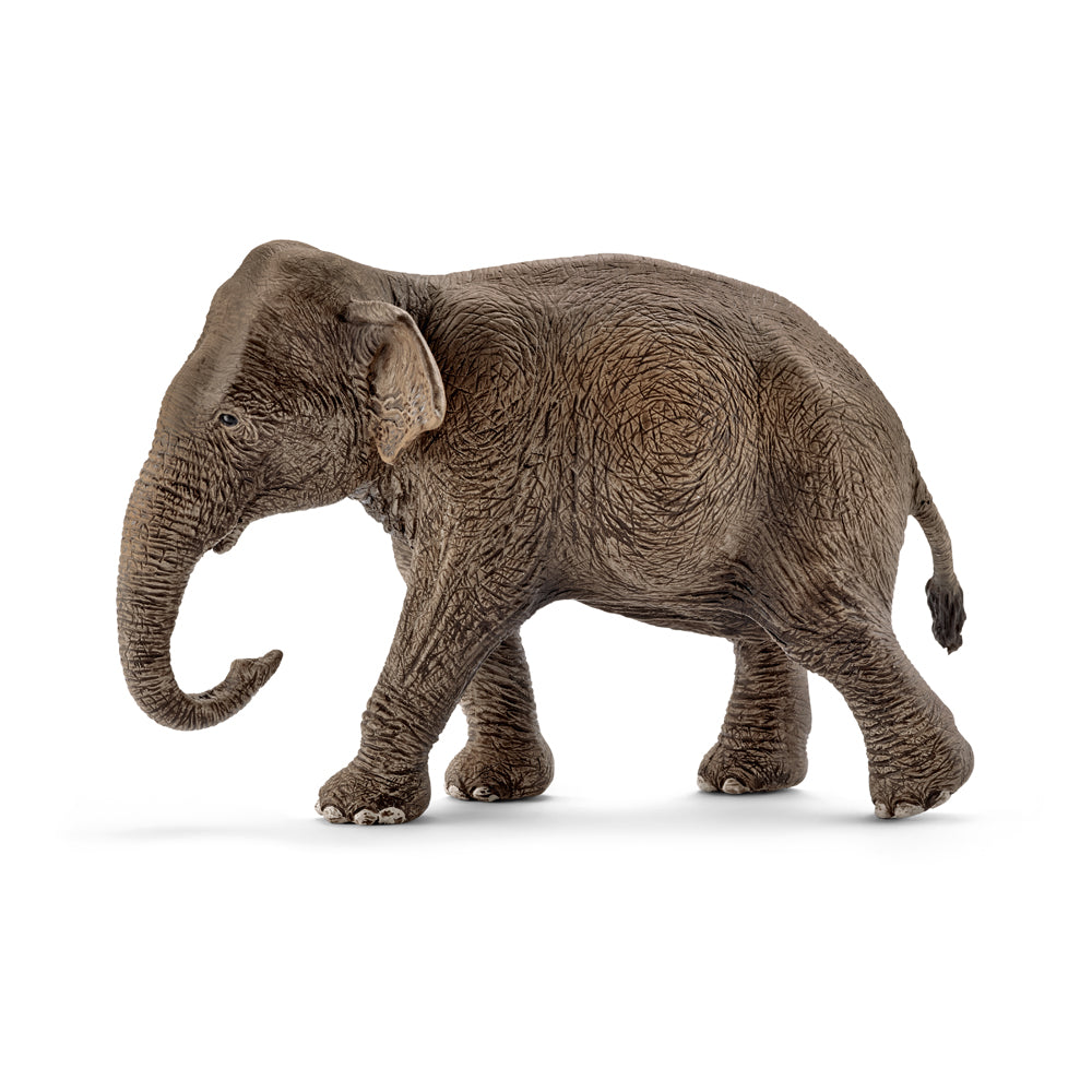 Schleich Female Asian Elephant
