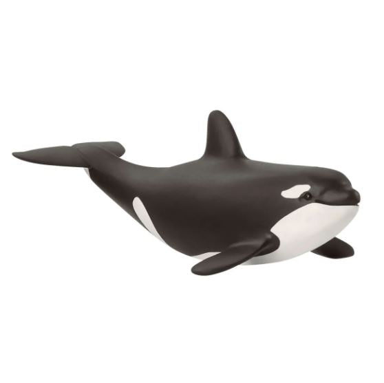 Schleich Baby Orca (Killer Whale)
