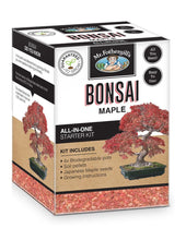 Load image into Gallery viewer, Bonsai Starter Kits (Assorted)
