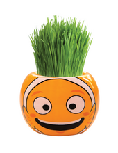 Load image into Gallery viewer, Grass Hair Kits (Assorted)
