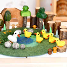 Load image into Gallery viewer, Tara Treasures Duck Pond with 6 Ducks Play Mat Playscape
