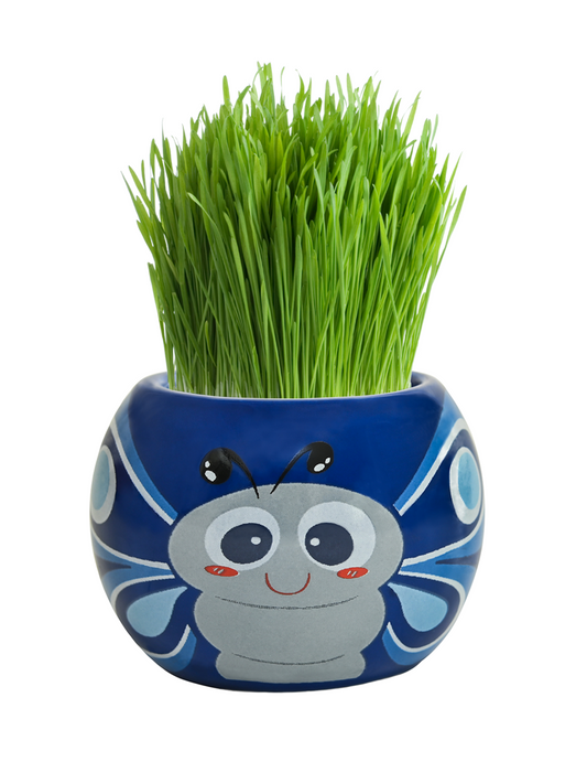 Grass Hair Kits - Friendly Bugs (Assorted)