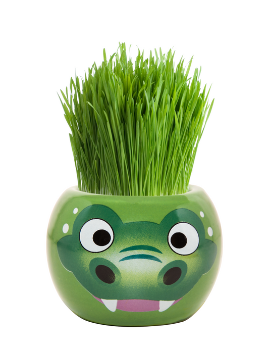 Grass Hair Kits Aussie Animals (Assorted)
