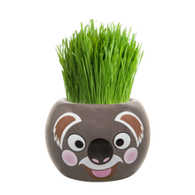 Load image into Gallery viewer, Grass Hair Kits (Assorted)
