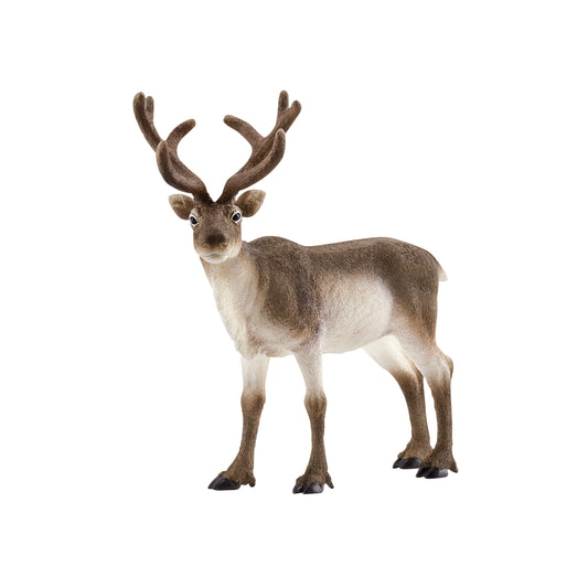 Schleich Reindeer