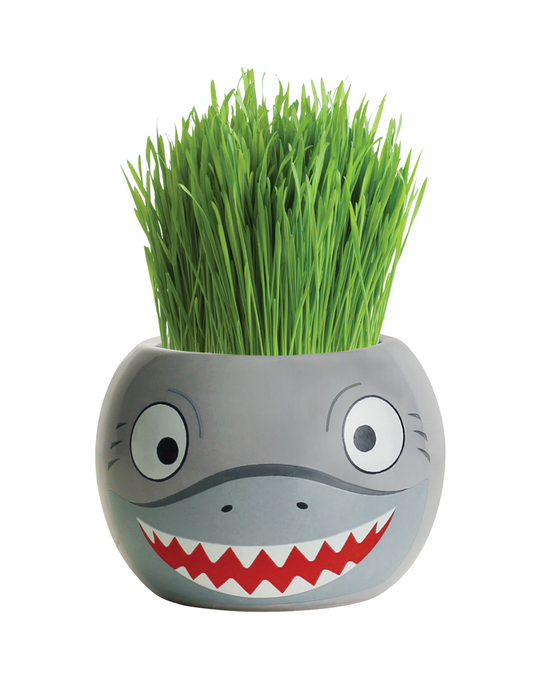 Grass Hair Kits Ocean Animals (Assorted)